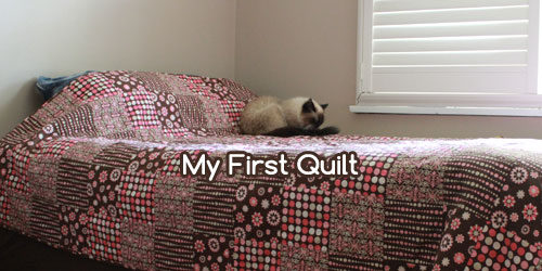 Craftcore | my very first quilt | brown and pink polka dot quilt