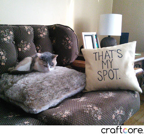 That's My Spot Big Bang Theory Pillow