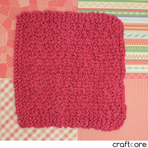 Ramen Noodle Dish Cloth by Craftcore